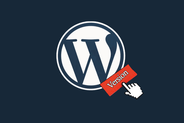 How to remove WordPress version number?