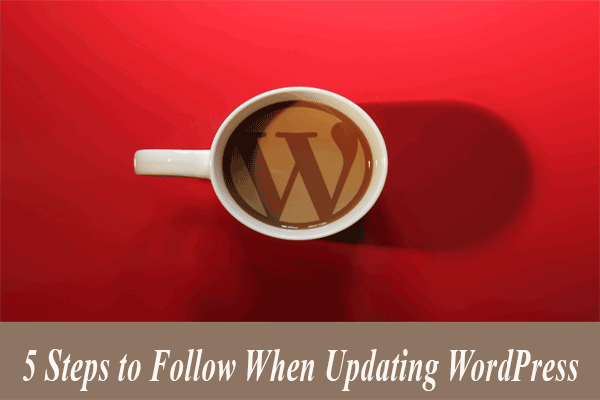 5 Steps to Follow When Updating WordPress
