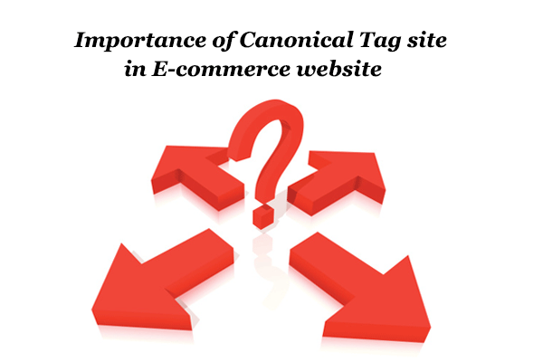 Importance of Canonical Tag in E-commerce website